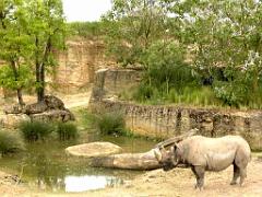 149 BIO PARC DE DOUE LA FONTAINE 4- 2016_000016
